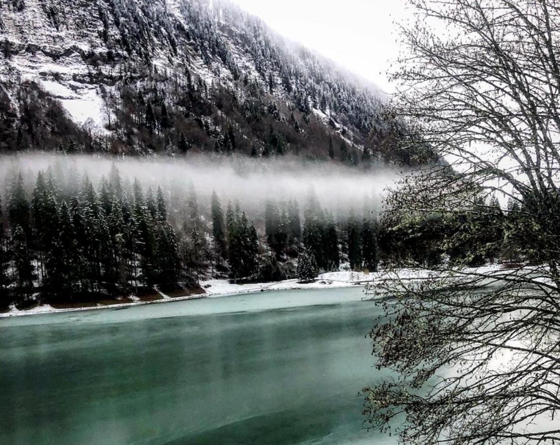 Micro-Lodge, Le Petit Nid D'Amour Montriond Buitenkant foto