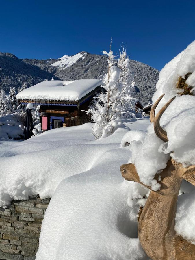Micro-Lodge, Le Petit Nid D'Amour Montriond Buitenkant foto
