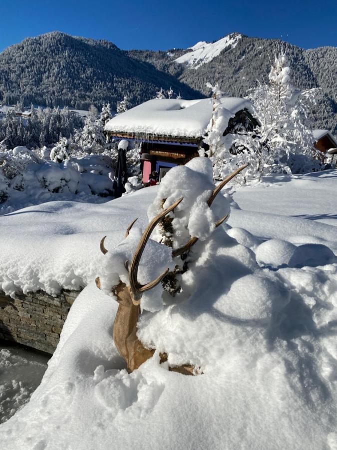 Micro-Lodge, Le Petit Nid D'Amour Montriond Buitenkant foto