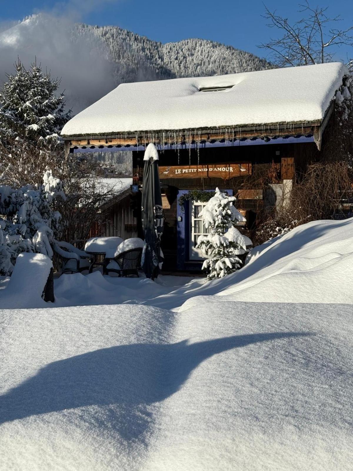 Micro-Lodge, Le Petit Nid D'Amour Montriond Buitenkant foto