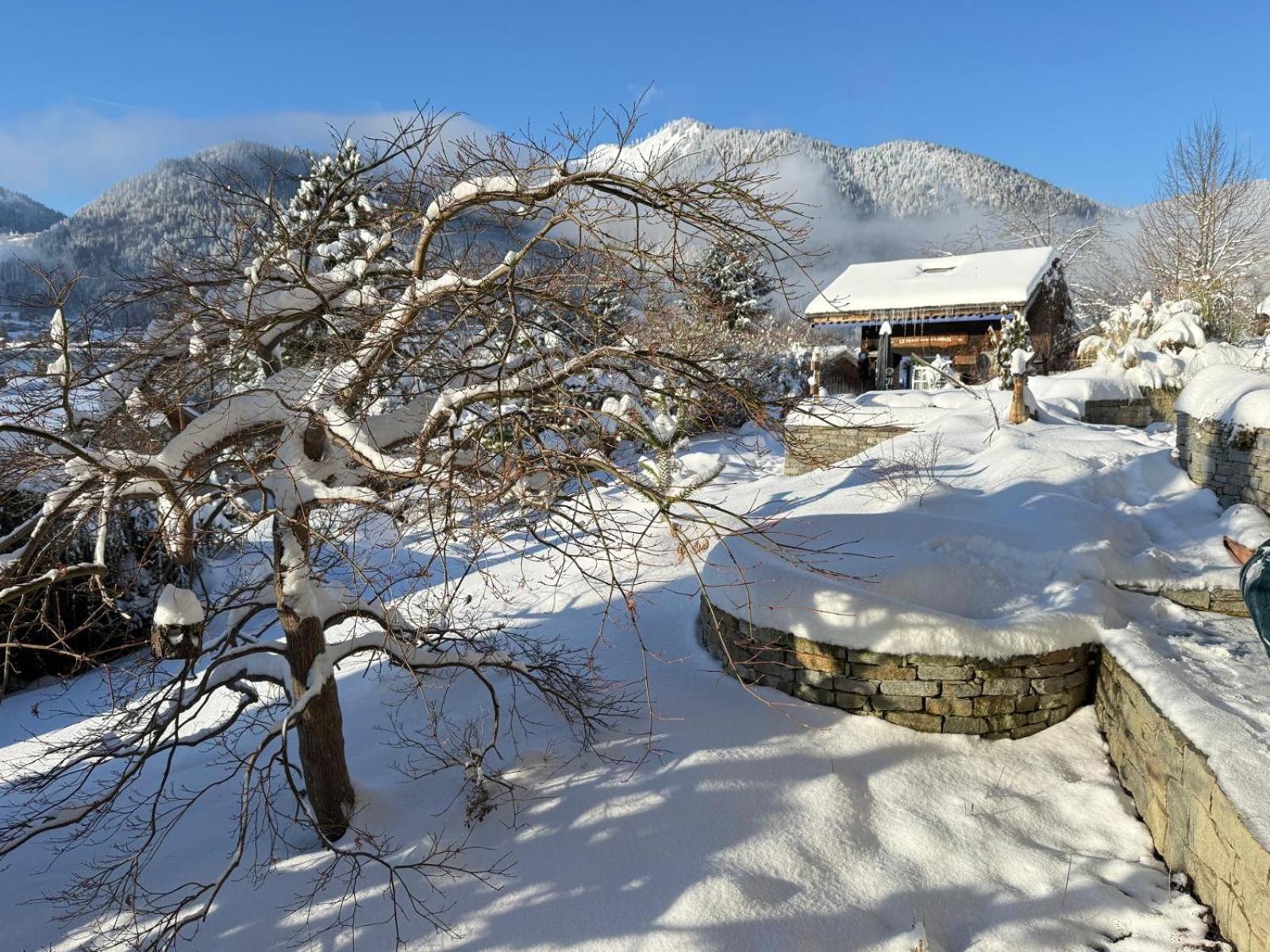 Micro-Lodge, Le Petit Nid D'Amour Montriond Buitenkant foto