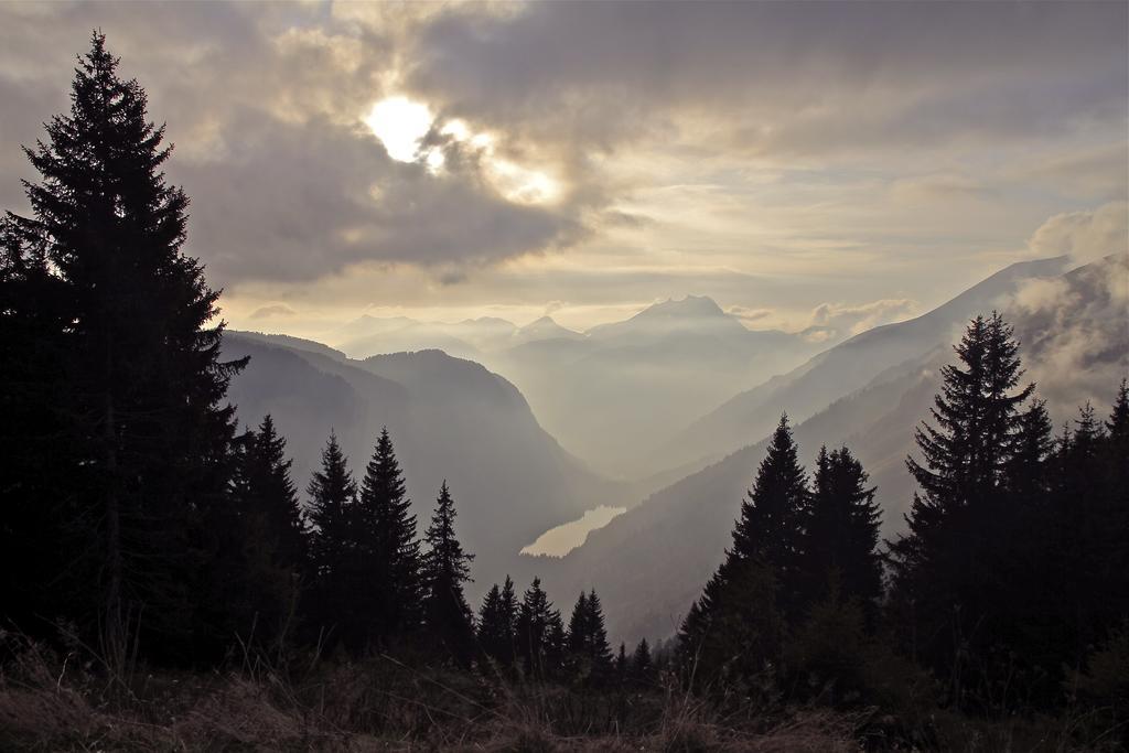 Micro-Lodge, Le Petit Nid D'Amour Montriond Kamer foto