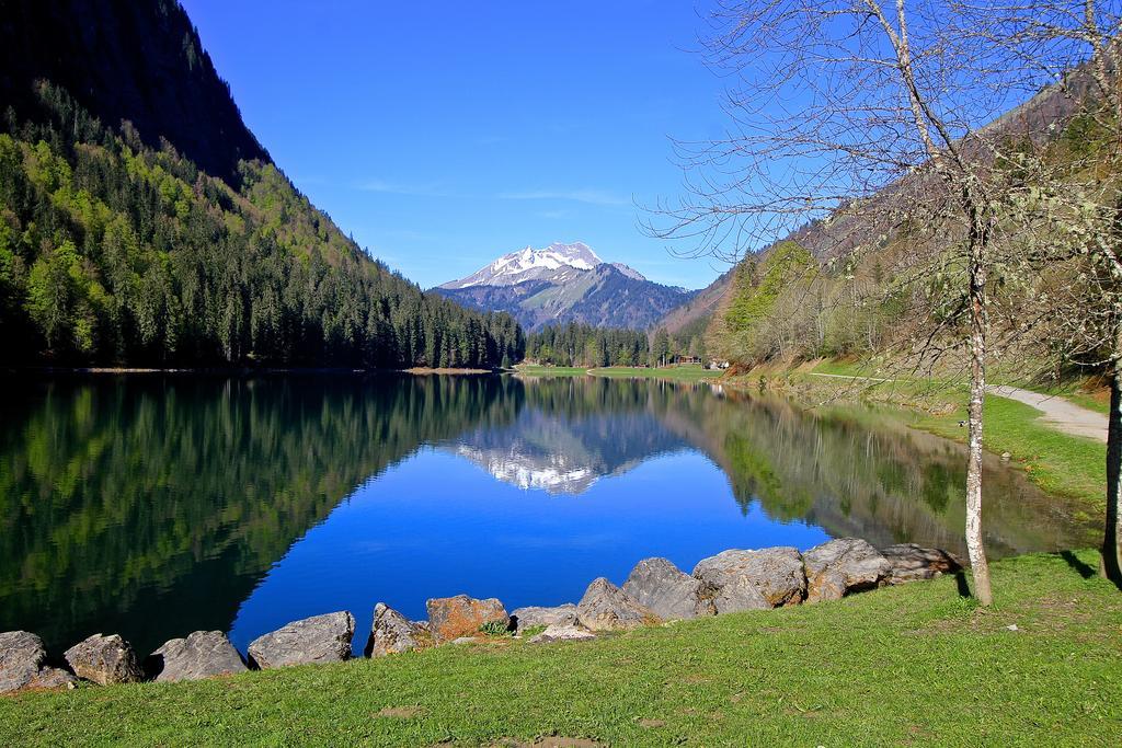 Micro-Lodge, Le Petit Nid D'Amour Montriond Buitenkant foto