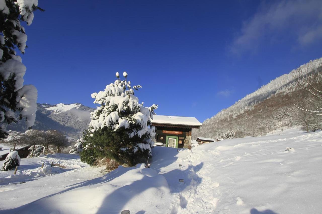 Micro-Lodge, Le Petit Nid D'Amour Montriond Buitenkant foto